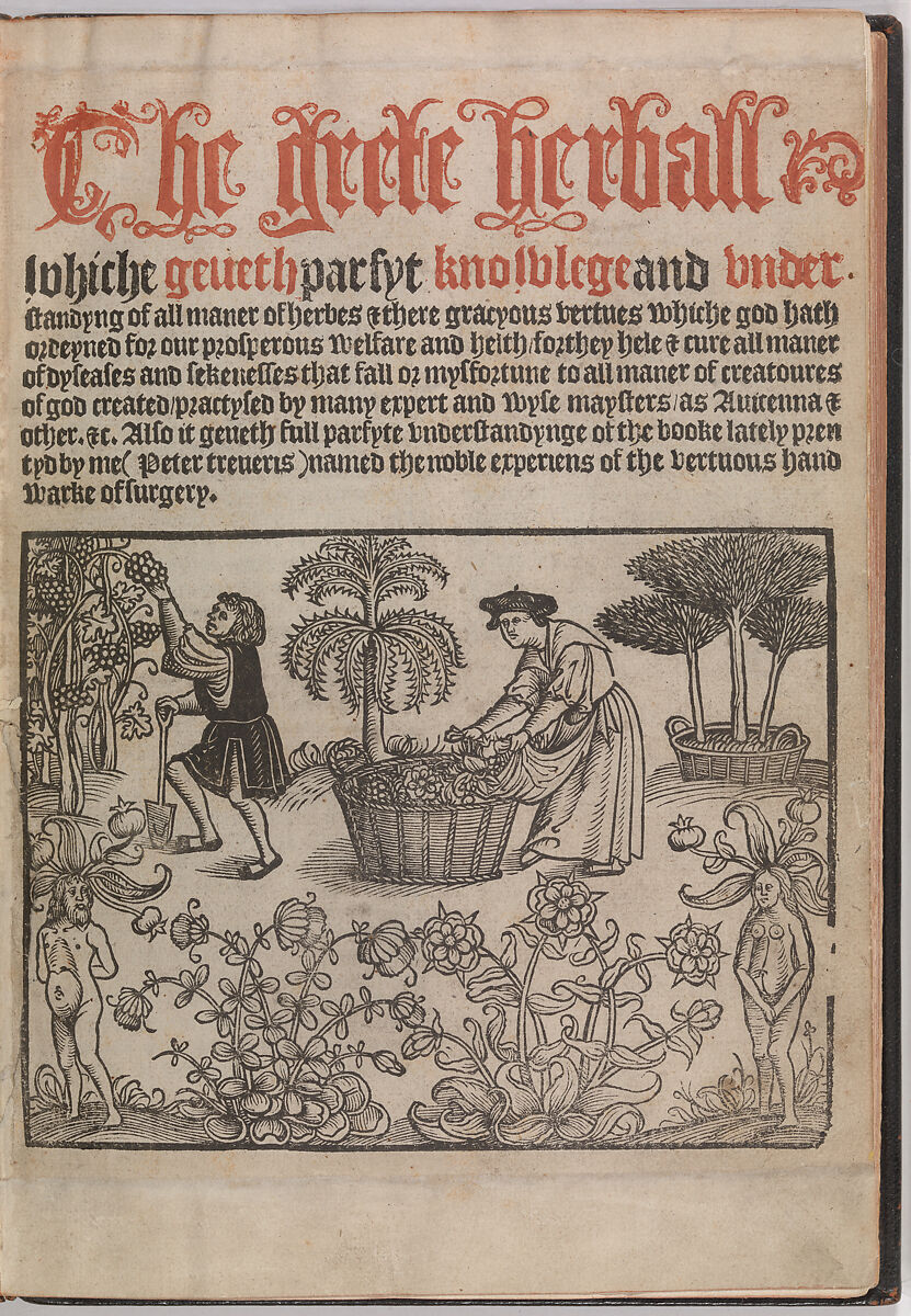 The Grete Herball, Peter Treveris (British, active 1525–32), Illustrations: woodcut