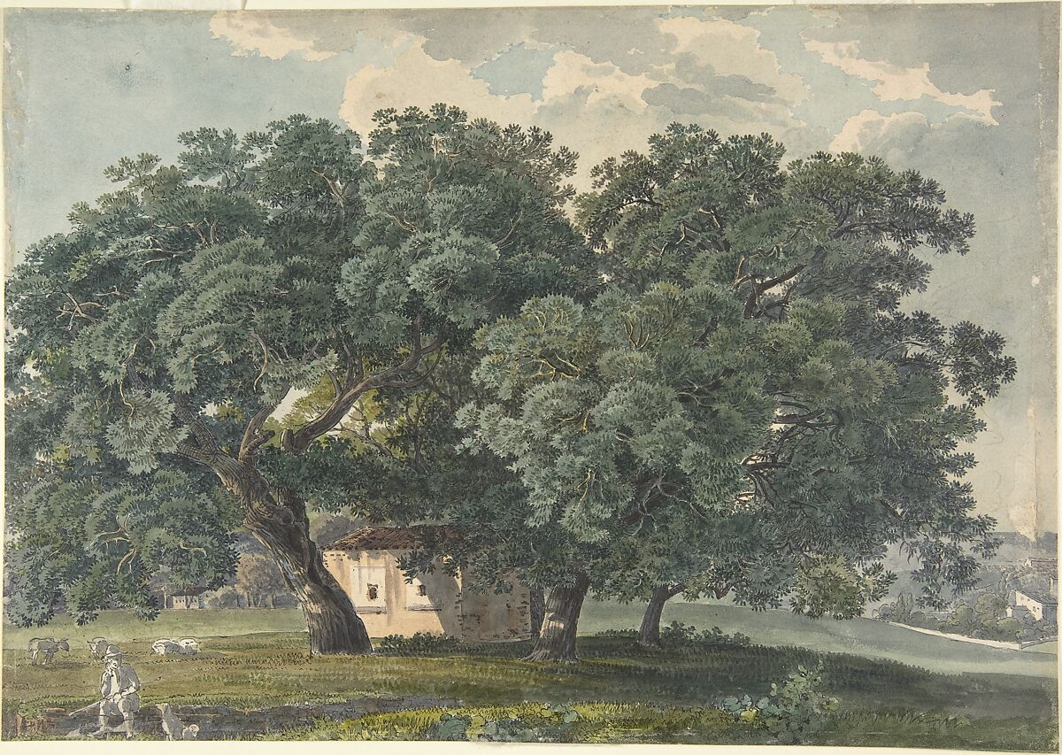 Italian Landscape with Trees (recto), Friedrich Salathé (Swiss, Binningen 1793–1860 Paris), Watercolor (recto)
Graphite, brush and gray ink (verso) 