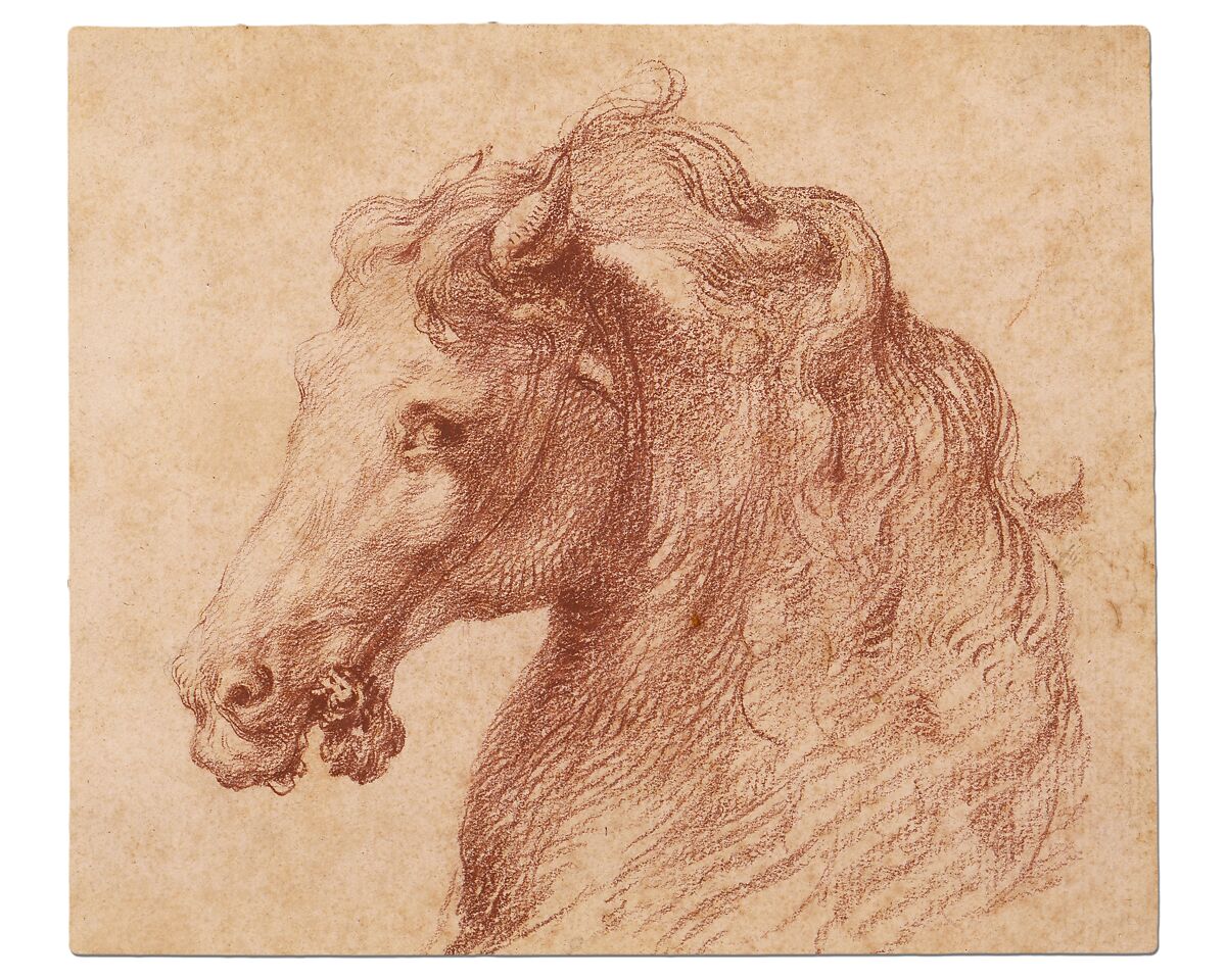 Head of a Horse, Anonymous, Italian, mid-16th century, Red chalk
