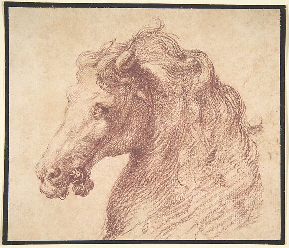 Head of a Horse