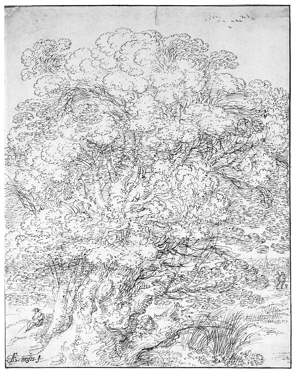 Study of an Old Tree, Gillis Neyts (Flemish, Overijse 1623–1687 Antwerp), Pen and brown ink