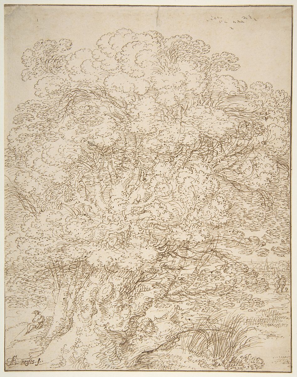 Study of an Old Tree, Gillis Neyts (Flemish, Overijse 1623–1687 Antwerp), Pen and brown ink 