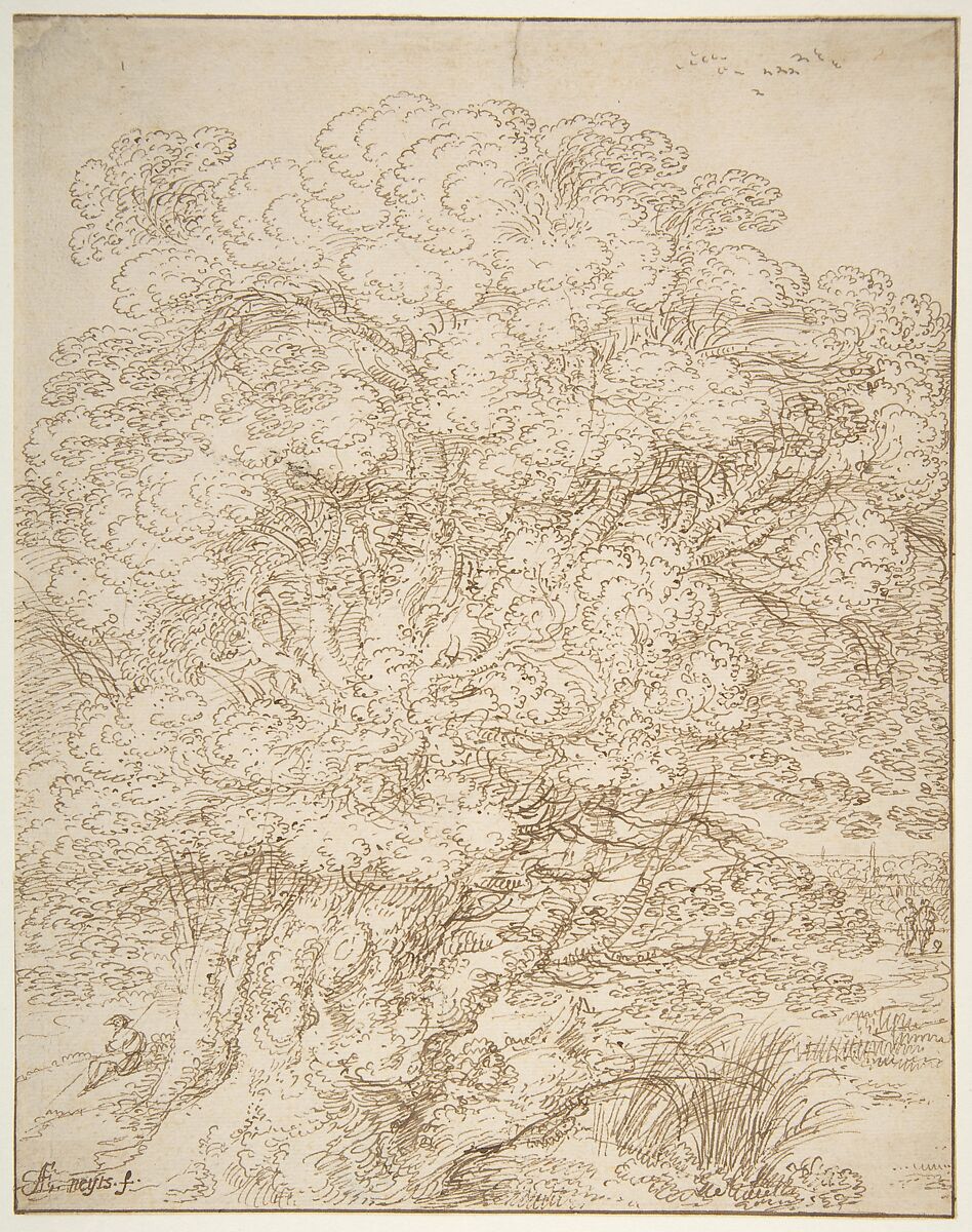 Study of an Old Tree, Gillis Neyts  Flemish, Pen and brown ink