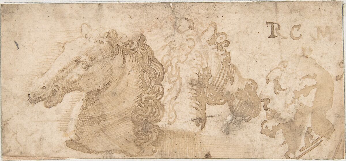 Two Views of a Horse's Head; the Head of a Bearded Man in Profile, Anonymous, Italian, 16th century, Pen and brown ink, brush and brown wash, with some unrelated strokes of red chalk 