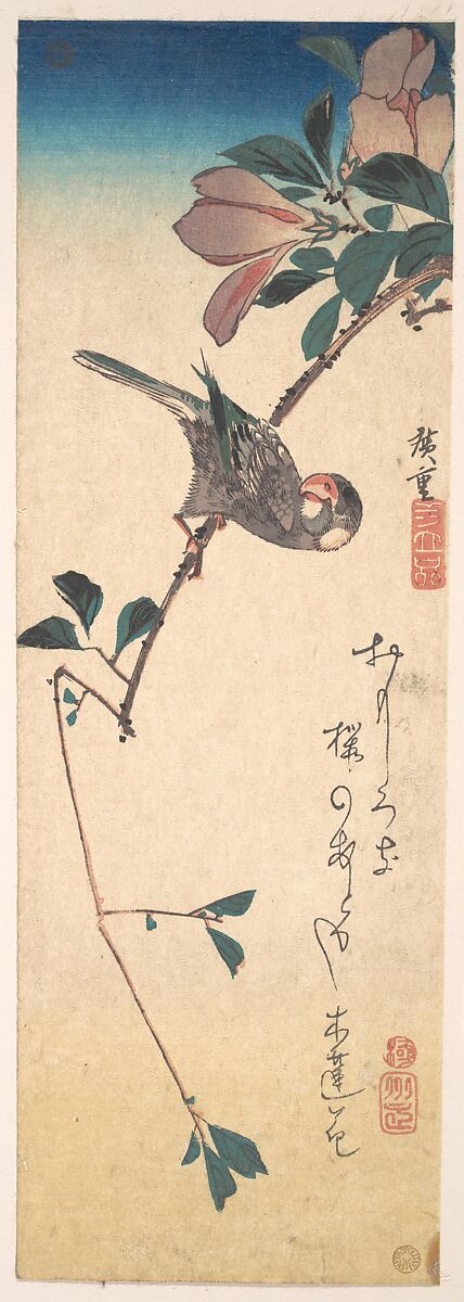 Purple Magnolia and Hornbill, Utagawa Hiroshige (Japanese, Tokyo (Edo) 1797–1858 Tokyo (Edo)), Woodblock print; ink and color on paper, Japan 