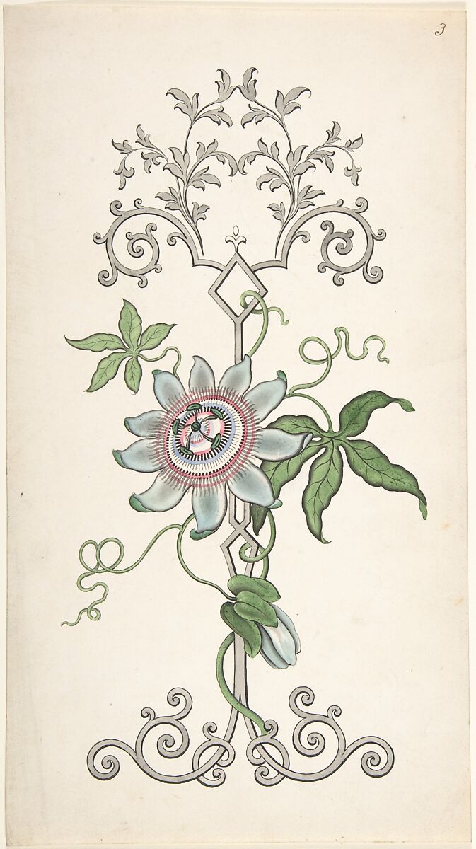 Design for Panel Decoration Centered on a Passion Flower, J. Hulme (British, active 1828–40), Watercolor, pen and black ink 