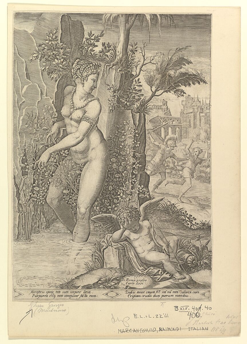 Venus Pricked by the Thorns of a Rose Bush; Cupid Asleep in the Foreground, Engraved by Giorgio Ghisi (Italian, Mantua ca. 1520–1582 Mantua), Engraving 