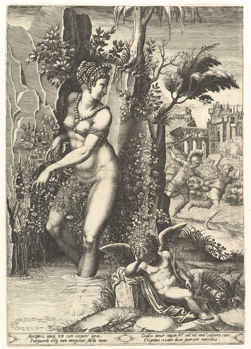 Venus pricked by the thorns on a rose bush, in the background Mars chasing Adonis, in the foreground winged cupid resting, After Giorgio Ghisi (Italian, Mantua ca. 1520–1582 Mantua), Engraving 