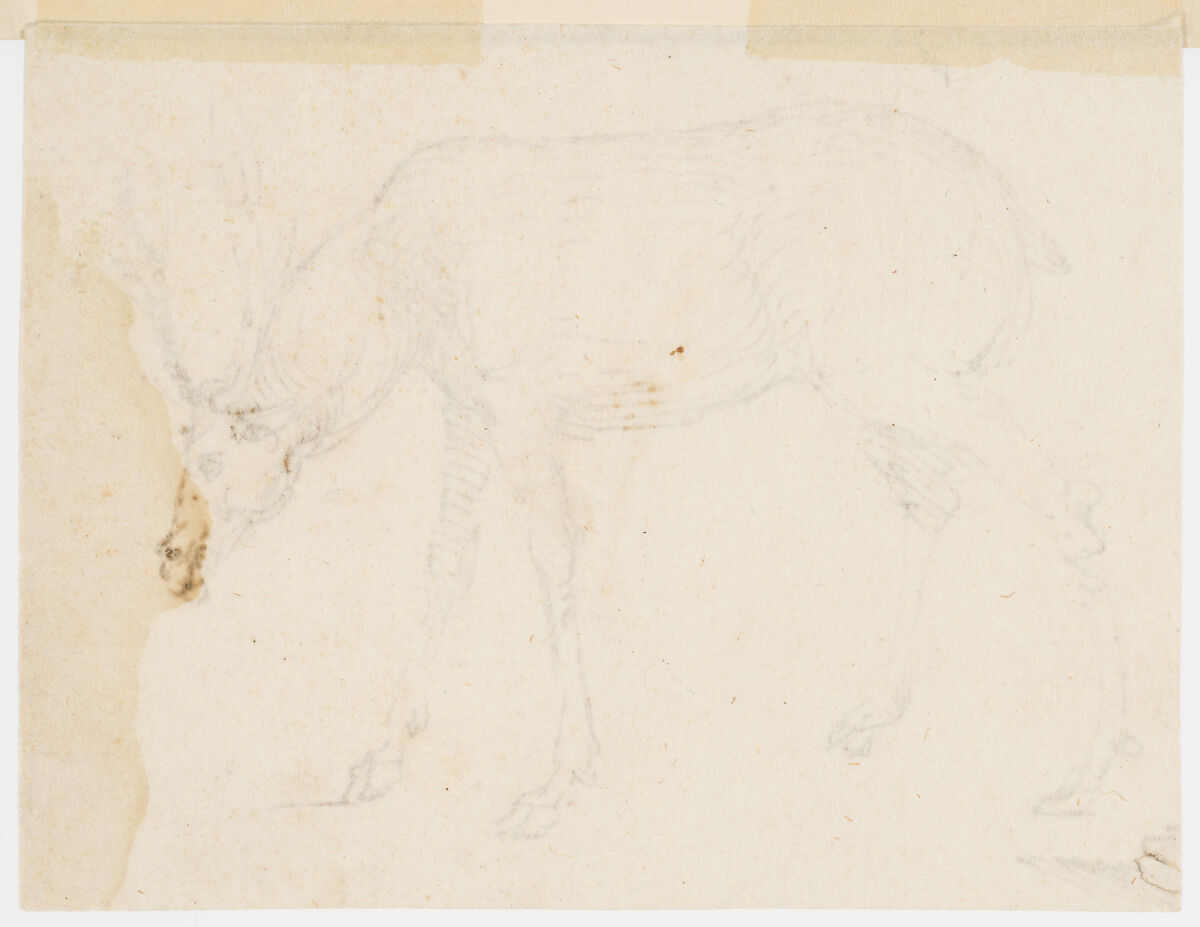 Studies of a Stag, Attributed to Stefano da Verona (Stefano di Giovanni d'Arbosio di Francia) (Italian, Paris or Pavia ca. 1374/75–after 1438 Verona), Pen and brown ink