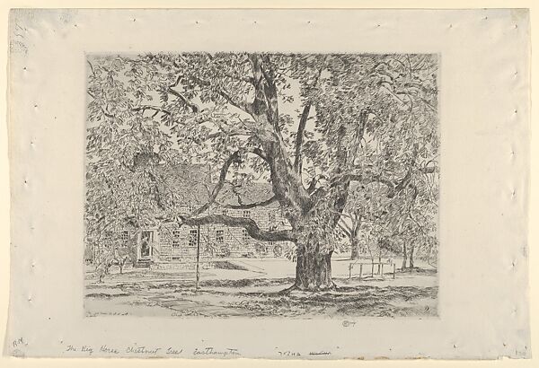 The Big Horse Chestnut Tree, Easthampton, Childe Hassam (American, Dorchester, Massachusetts 1859–1935 East Hampton, New York), Etching 