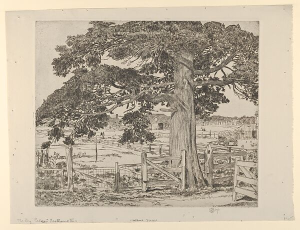 The Big Cedar, Easthampton, Childe Hassam (American, Dorchester, Massachusetts 1859–1935 East Hampton, New York), Etching 