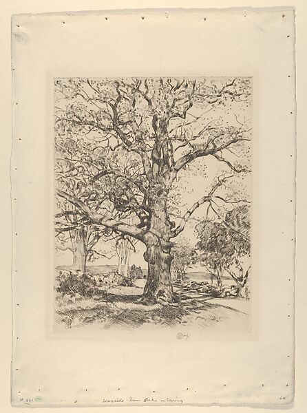 The Wayside Inn - Oaks in Spring (Sudbury, Massachusetts), Childe Hassam (American, Dorchester, Massachusetts 1859–1935 East Hampton, New York), Etching 