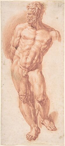 Standing Male Nude