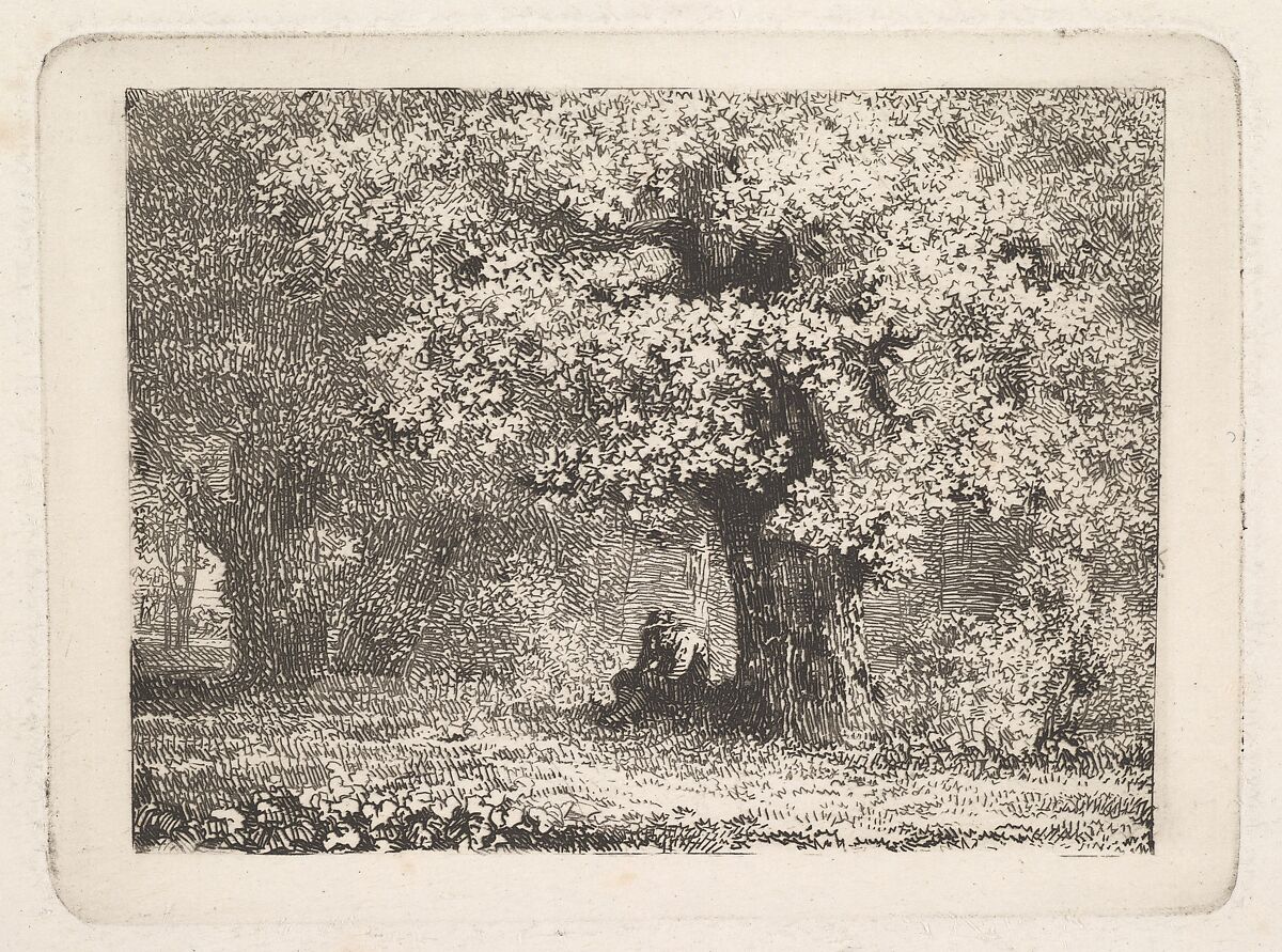 A Man Sitting under a Tree in Bloom, Johann Christoph Erhard (German, Nuremberg 1795–1822 Rome), Etching 