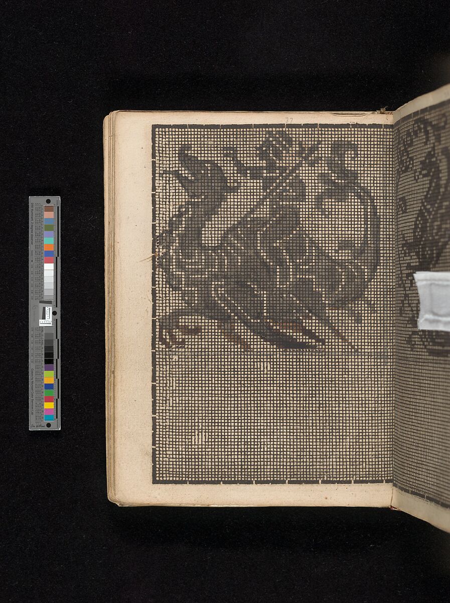 Manuscript album of designs for lace and embroidery, Anonymous, German, 16th century, Woodcut, ms