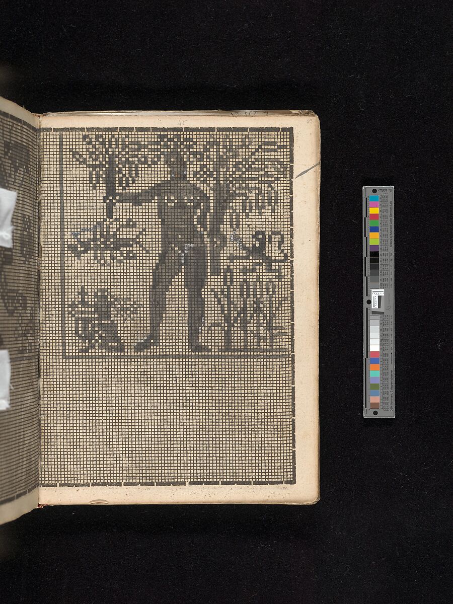 Manuscript album of designs for lace and embroidery, Anonymous, German, 16th century, Woodcut, ms