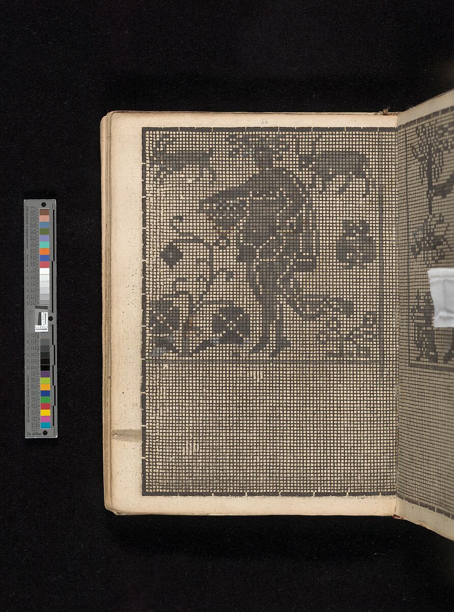 Manuscript album of designs for lace and embroidery, Anonymous, German, 16th century, Woodcut, ms