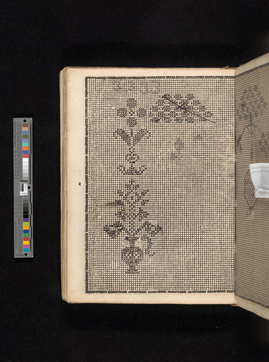 Manuscript album of designs for lace and embroidery, Anonymous, German, 16th century, Woodcut, ms