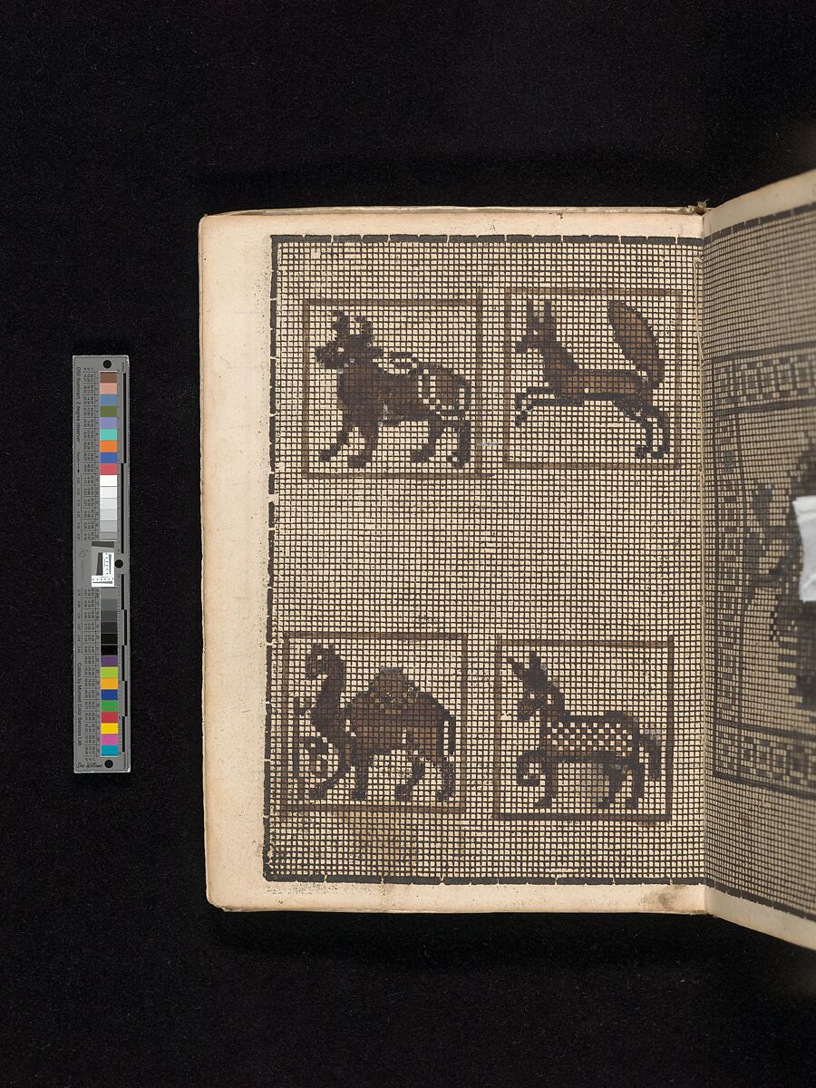 Manuscript album of designs for lace and embroidery, Anonymous, German, 16th century, Woodcut, ms