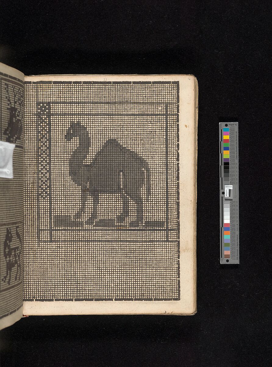 Manuscript album of designs for lace and embroidery, Anonymous, German, 16th century, Woodcut, ms