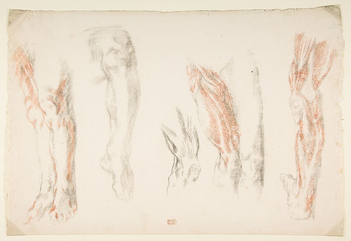 Anatomical Studies of Legs, Eugène Delacroix (French, Charenton-Saint-Maurice 1798–1863 Paris), Counterproof of a drawing in red and black chalk, with black chalk additions 