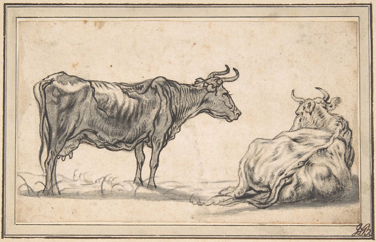 Study of Two Cows, Aelbert Cuyp (Dutch, Dordrecht 1620–1691 Dordrecht), Black chalk and black and gray wash (remains of framingline in red chalk) 