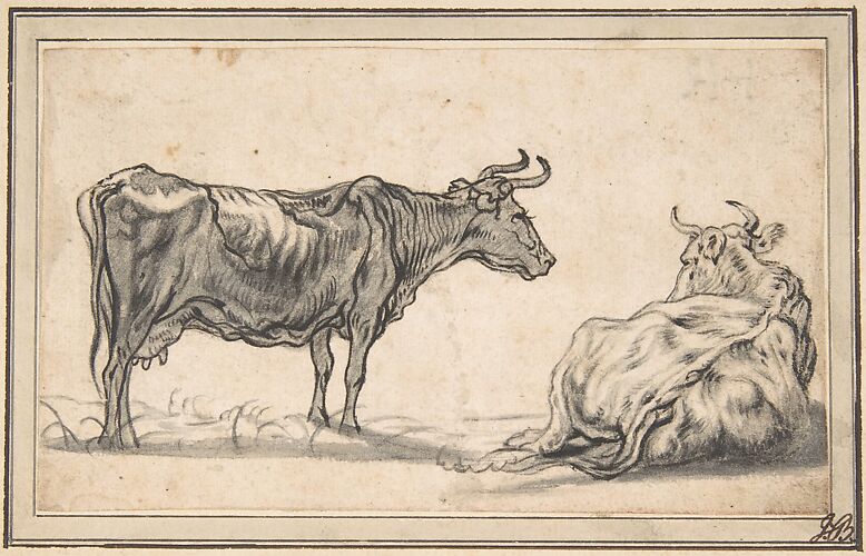 Study of Two Cows