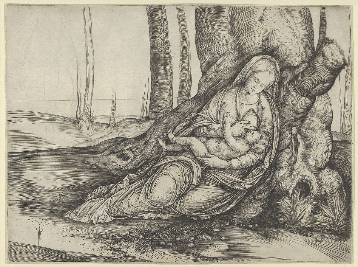 The Madonna nursing the Christ Child at the foot of a tree, Jacopo de&#39; Barbari (Italian, active Venice by 1497–died by 1516 Mechelen or Brussels), Engraving with drypoint 
