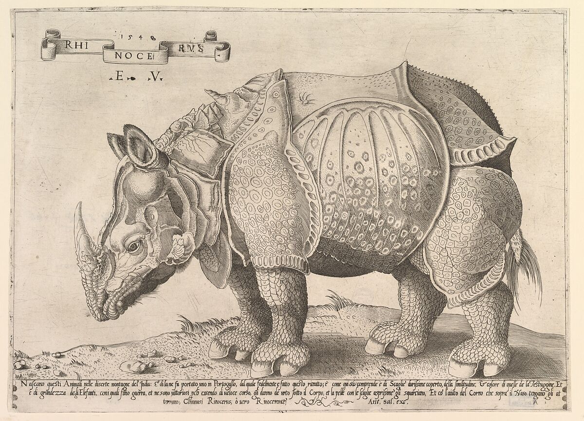 Rhinoceros, Engraved by Enea Vico (Italian, Parma 1523–1567 Ferrara), Engraving 