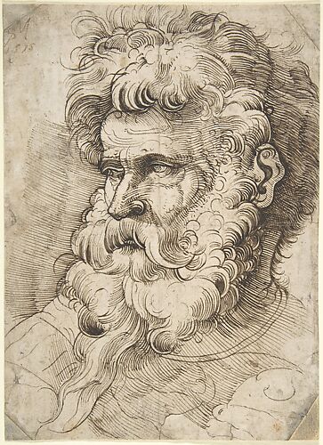 Head of a Bearded Man