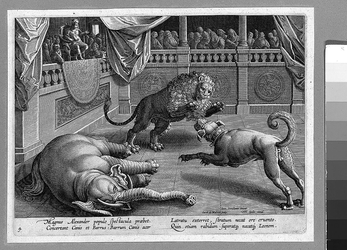 Venationes ferarum avium, piscium..., after Jan van der Straet, called Stradanus (Netherlandish, Bruges 1523–1605 Florence), plates: engraving