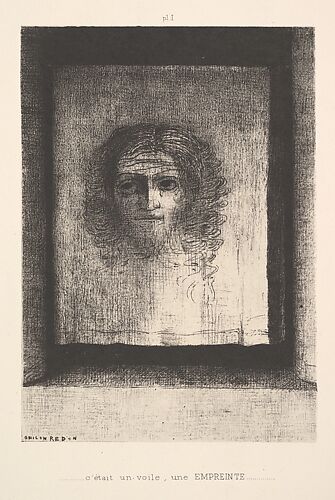 A Veil, a Printed Image