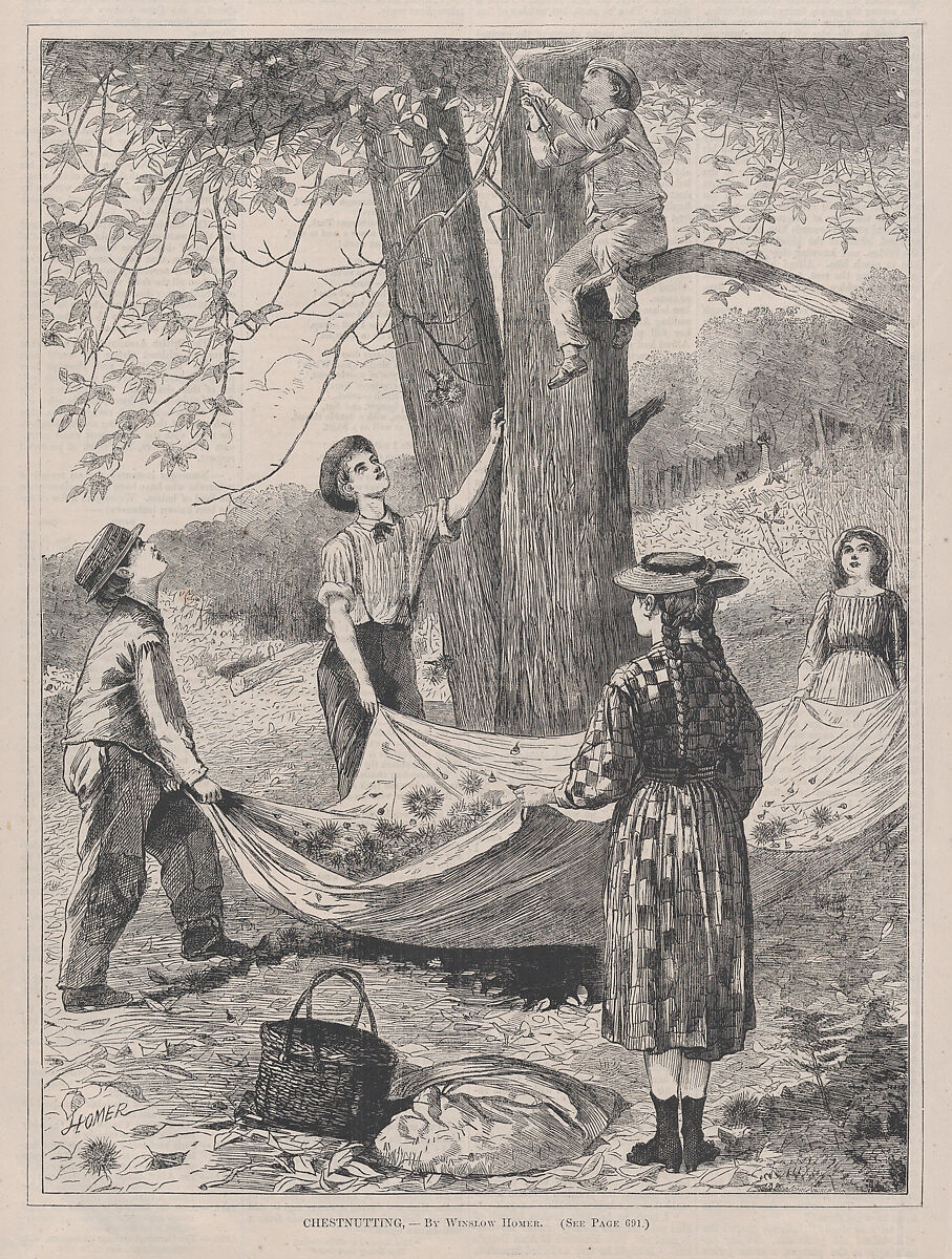 Chestnutting (from "Every Saturday," Vol. I, New Series), After Winslow Homer (American, Boston, Massachusetts 1836–1910 Prouts Neck, Maine), Wood engraving 
