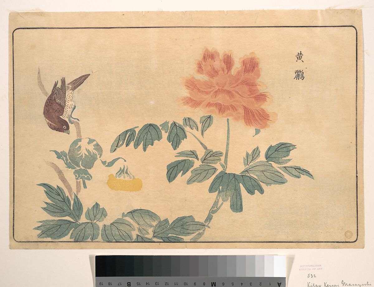 Chinese Oriole and Peonies, Kuwagata Keisai (Japanese, 1764–1824), Woodblock print; ink and color on paper, Japan 