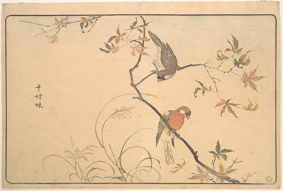 Jūshimatsu (Begalee or a society finch), Kuwagata Keisai (Japanese, 1764–1824), Woodblock print; ink and color on paper, Japan 