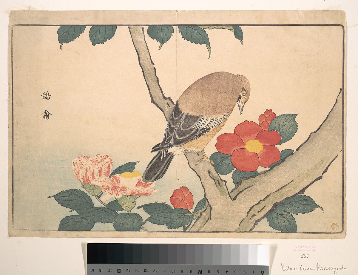 Camellias with a Bird, Kuwagata Keisai (Japanese, 1764–1824), Woodblock print; ink and color on paper, Japan 