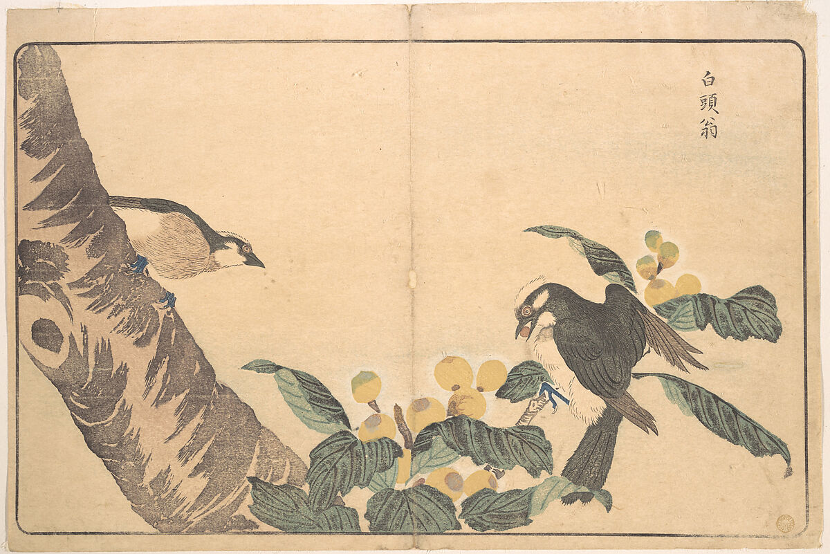 Bai tou weng, Kuwagata Keisai (Japanese, 1764–1824), Woodblock print; ink and color on paper, Japan 