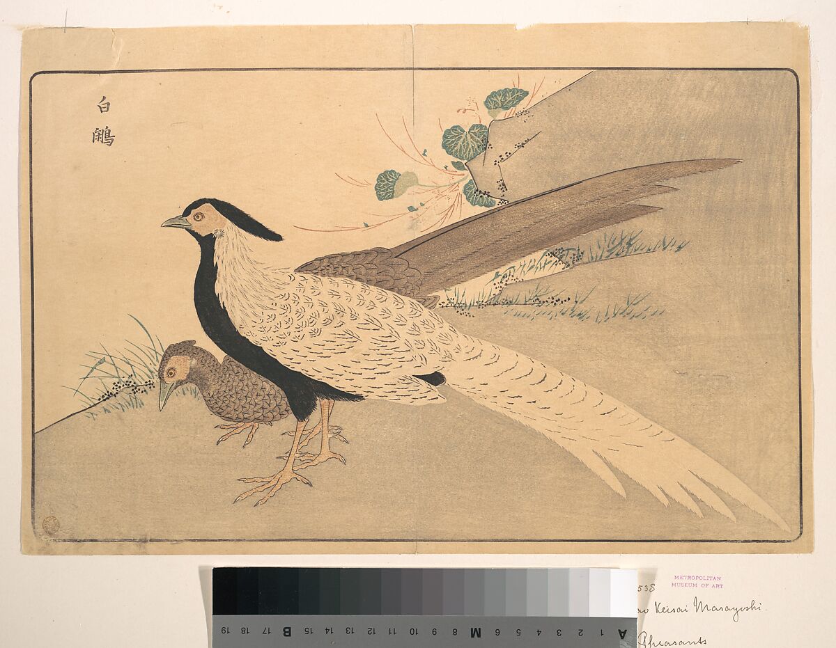 Bai xian, Kuwagata Keisai (Japanese, 1764–1824), Woodblock print; ink and color on paper, Japan 