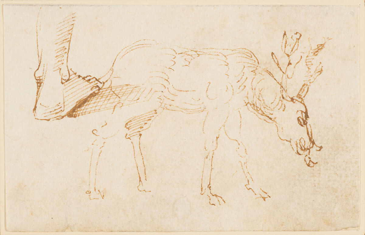 Studies of a Stag, Attributed to Stefano da Verona (Stefano di Giovanni d&#39;Arbosio di Francia) (Italian, Paris or Pavia ca. 1374/75–after 1438 Verona), Pen and brown ink 