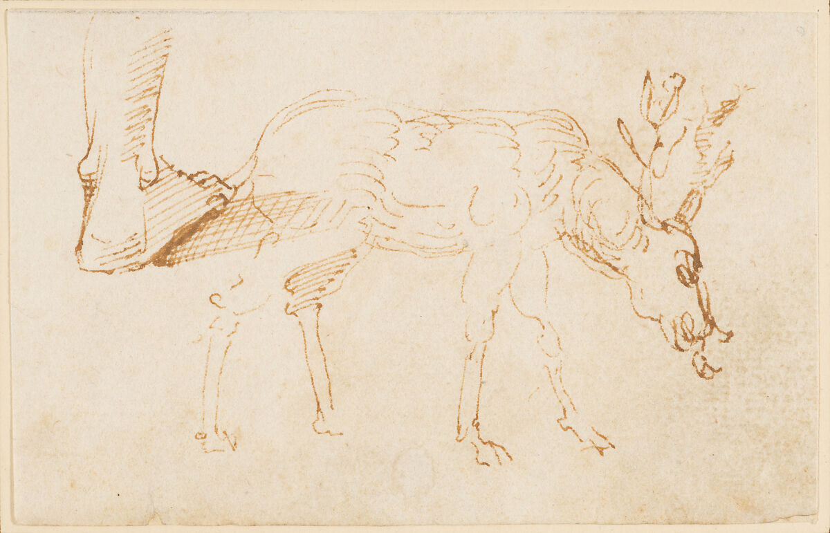 Studies of a Stag, Stefano da Verona (Stefano di Giovanni d'Arbosio di Francia)  Italian, Pen and brown ink