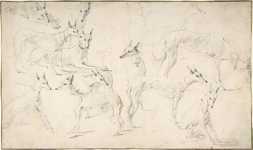 Studies of Hounds