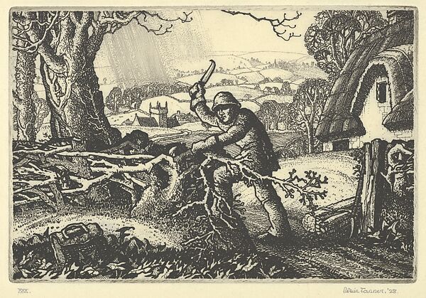 Wiltshire Hedger