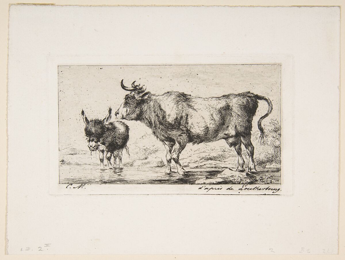 Cow and Ass, Charles Meryon (French, 1821–1868), Etching on wove paper; second and final state 