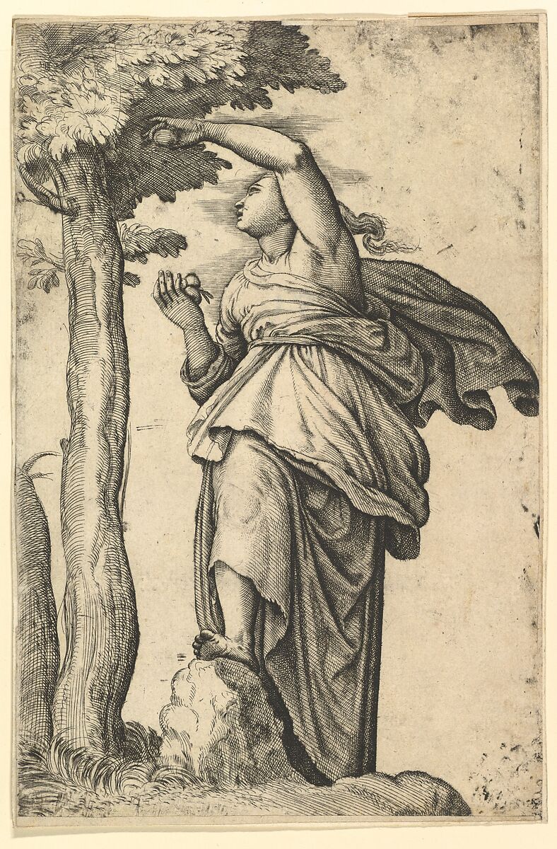 Woman in Roman Costume Picking Fruit from a Tree, Battista Franco (Italian, Venice ca. 1510–1561 Venice), Etching and engraving 