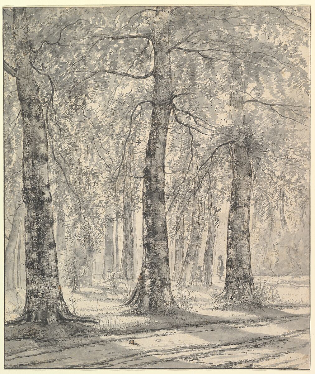 Woodland Scene, Pieter George Westenberg (Dutch, Nijmwegen 1791–1873 Brummen), Brush and gray ink and wash over black chalk 