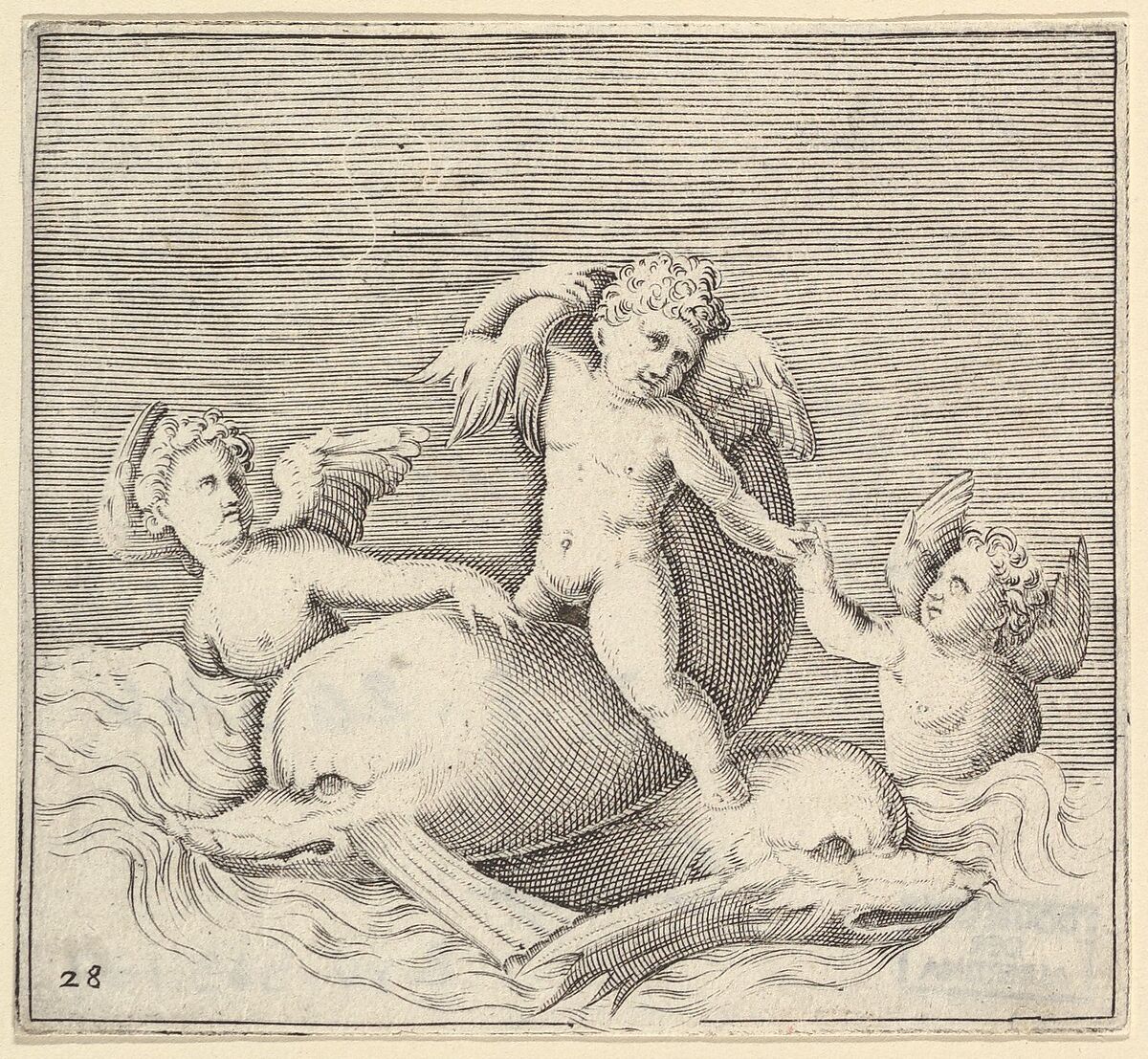 Three Cupids and Two Dolphins, from "Ex Antiquis Cameorum et Gemmae Delineata/ Liber Secundus/et ab Enea Vico Parmen Incis", Anonymous, Italian, 16th century, Engraving; third state 