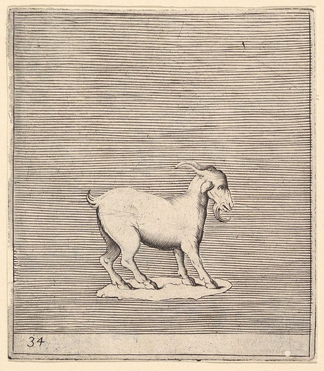 Ram, from "Ex Antiquis Cameorum et Gemmae Delineata", Anonymous, Italian, 16th century, Engraving; third state 