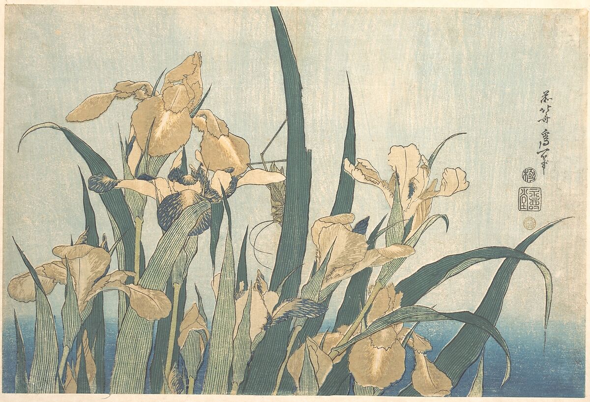 Grasshopper and Iris, Katsushika Hokusai (Japanese, Tokyo (Edo) 1760–1849 Tokyo (Edo)), Woodblock print; ink and color on paper, Japan 