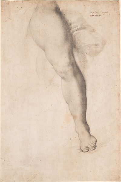 Study of a Left Leg and Drapery, Bronzino (Agnolo di Cosimo di Mariano) (Italian, Monticelli 1503–1572 Florence), Black chalk 