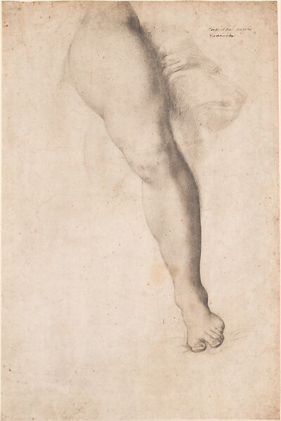 Study of a Left Leg and Drapery, Bronzino (Agnolo di Cosimo di Mariano)  Italian, Black chalk